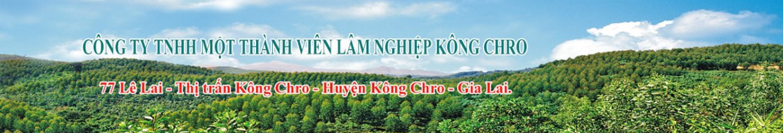 CÔNG TY TNHH MỘT THÀNH VIÊN LÂM NGHIỆP KÔNG CHRO